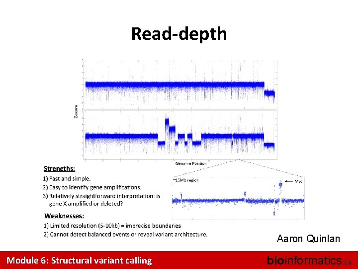 Read-depth Aaron Quinlan Module 6: Structural variant calling bioinformatics. ca 