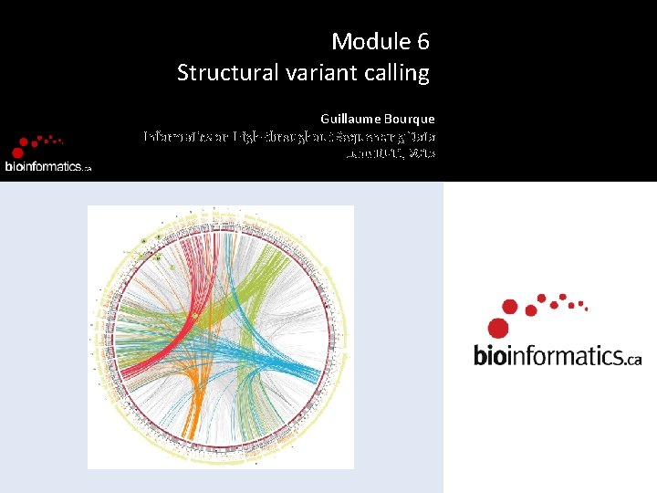 Module 6 Structural variant calling Guillaume Bourque Informatics on High-throughput Sequencing Data June 10
