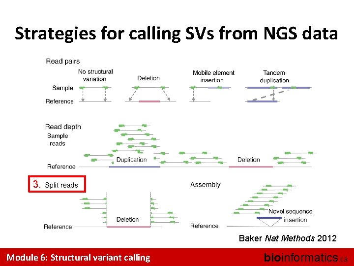 Strategies for calling SVs from NGS data 3. Baker Nat Methods 2012 Module 6: