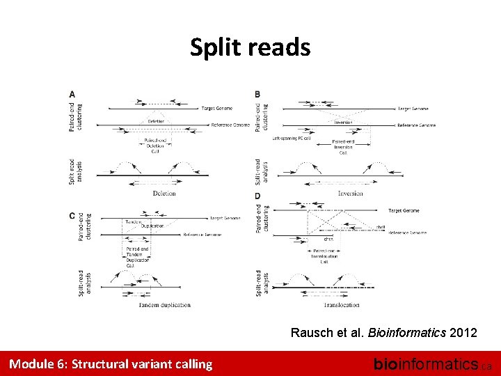 Split reads Rausch et al. Bioinformatics 2012 Module 6: Structural variant calling bioinformatics. ca