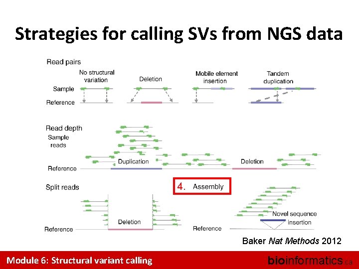 Strategies for calling SVs from NGS data 4. Baker Nat Methods 2012 Module 6:
