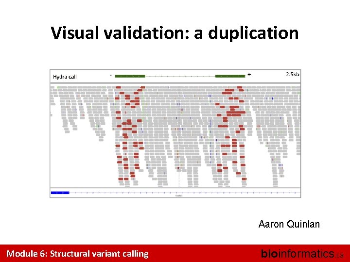 Visual validation: a duplication Aaron Quinlan Module 6: Structural variant calling bioinformatics. ca 