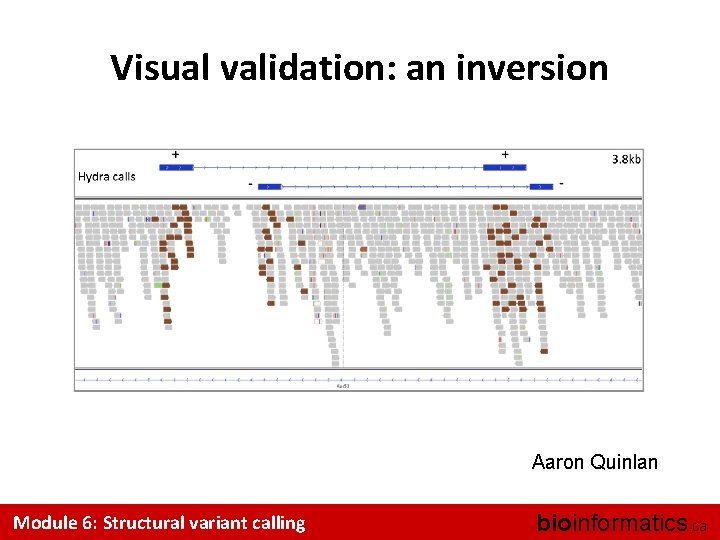 Visual validation: an inversion Aaron Quinlan Module 6: Structural variant calling bioinformatics. ca 