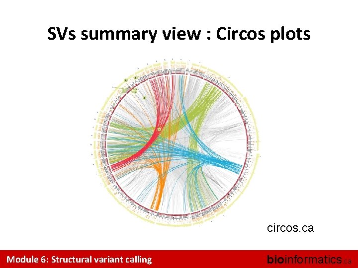 SVs summary view : Circos plots circos. ca Module 6: Structural variant calling bioinformatics.