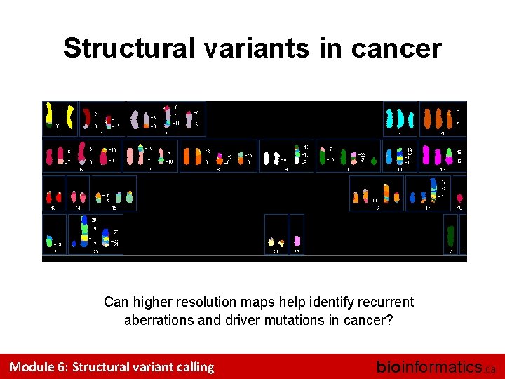 Structural variants in cancer Can higher resolution maps help identify recurrent aberrations and driver