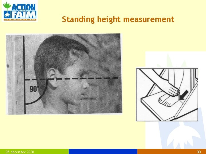 Standing height measurement 05 décembre 2020 33 