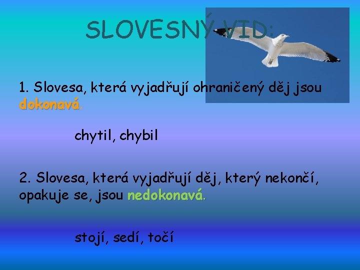 SLOVESNÝ VID: 1. Slovesa, která vyjadřují ohraničený děj jsou dokonavá chytil, chybil 2. Slovesa,