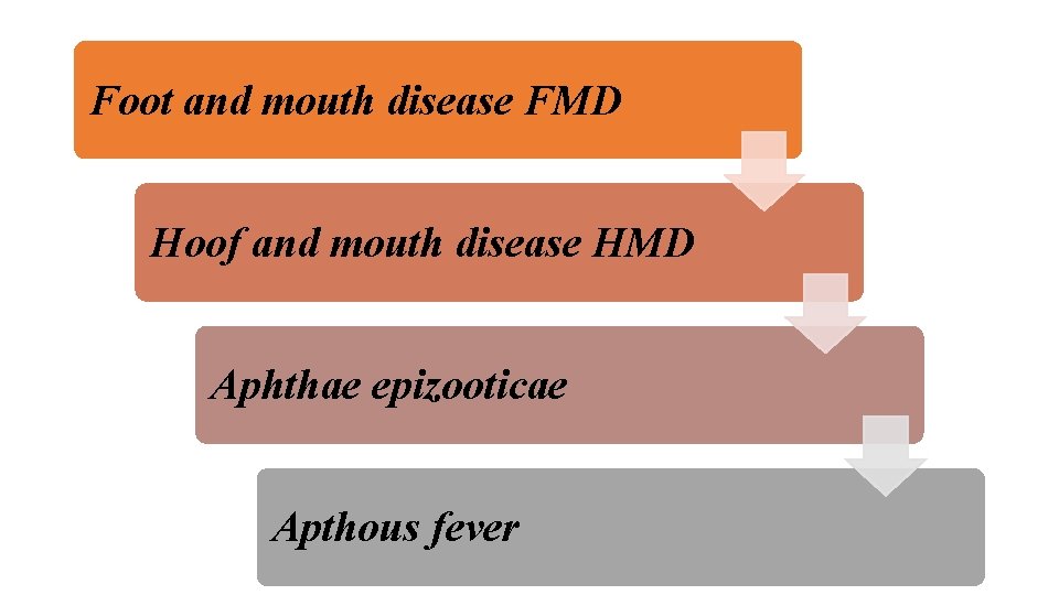 Foot and mouth disease FMD Hoof and mouth disease HMD Aphthae epizooticae Apthous fever