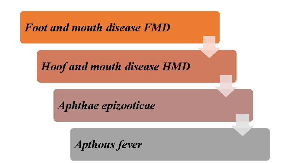 Foot and mouth disease FMD Hoof and mouth disease HMD Aphthae epizooticae Apthous fever Foot and mouth disease FMD Hoof and mouth disease HMD Aphthae epizooticae Apthous fever