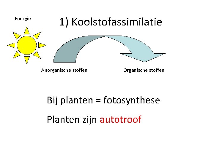 Energie 1) Koolstofassimilatie Anorganische stoffen Organische stoffen Bij planten = fotosynthese Planten zijn autotroof