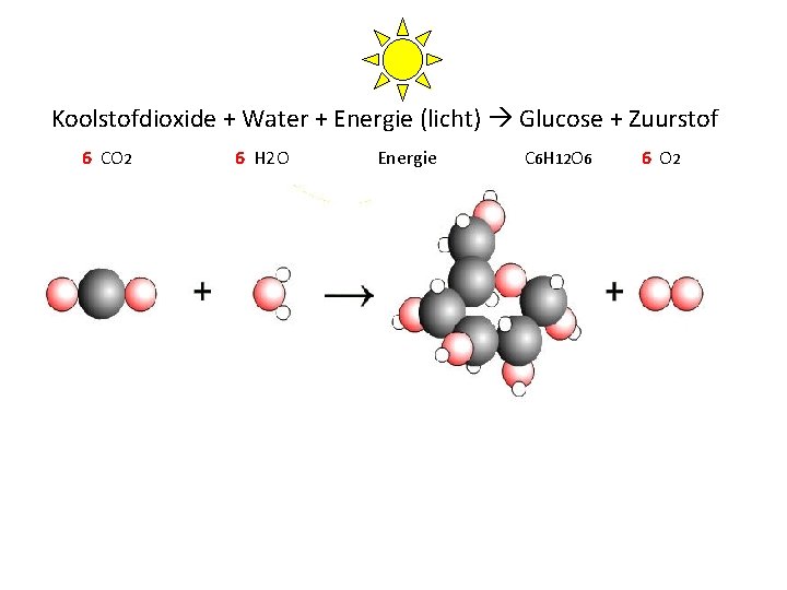 Koolstofdioxide + Water + Energie (licht) Glucose + Zuurstof 6 CO 2 6 H