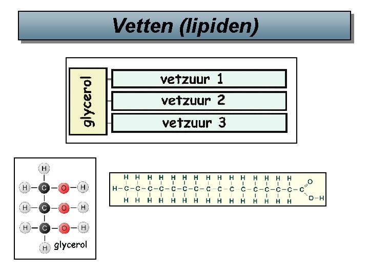 Vetten (lipiden) 