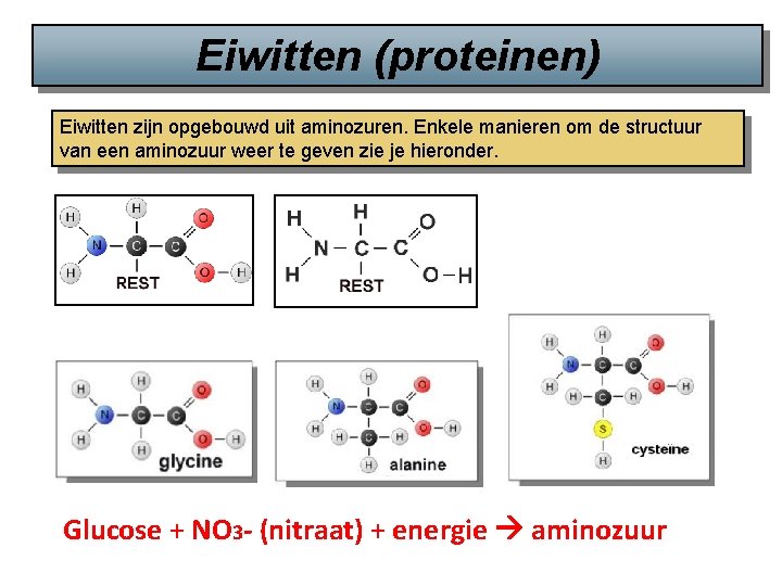 Eiwitten (proteinen) Eiwitten zijn opgebouwd uit aminozuren. Enkele manieren om de structuur van een