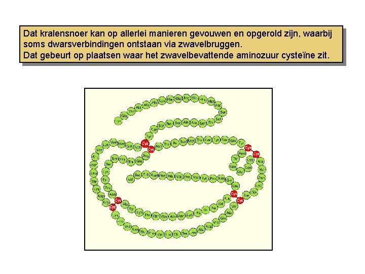 Dat kralensnoer kan op allerlei manieren gevouwen en opgerold zijn, waarbij soms dwarsverbindingen ontstaan