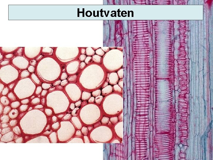 Houtvaten 