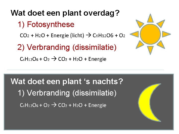 Wat doet een plant overdag? 1) Fotosynthese CO 2 + H 2 O +