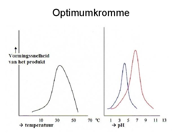 Optimumkromme 