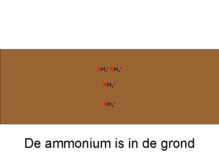 NH 4+ De ammonium is in de grond 