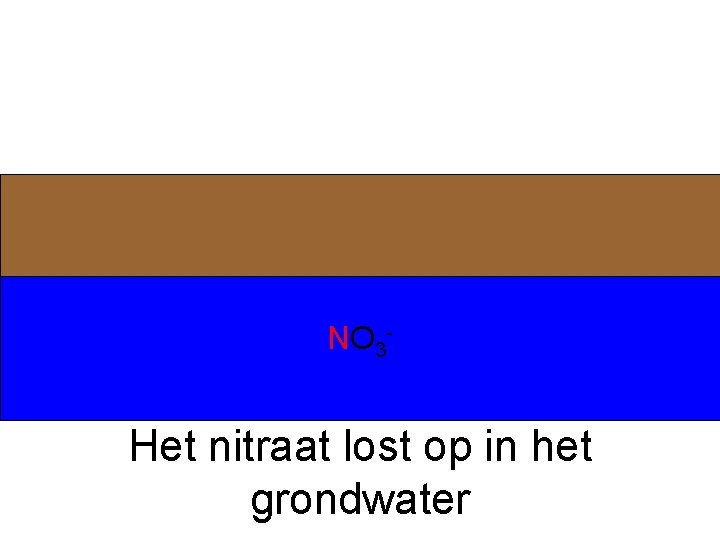 NO 3 - Het nitraat lost op in het grondwater 