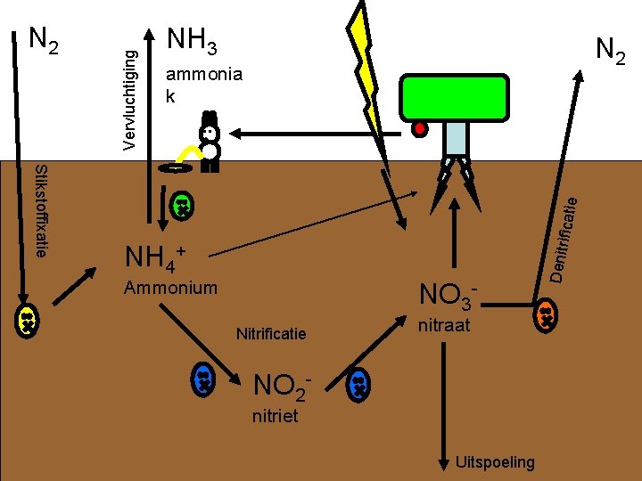 NH 3 N 2 ammonia k NH 4+ Ammonium NO 3 Nitrificatie nitraat NO