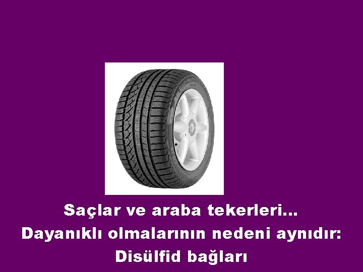 Saçlar ve araba tekerleri… Dayanıklı olmalarının nedeni aynıdır: Disülfid bağları 