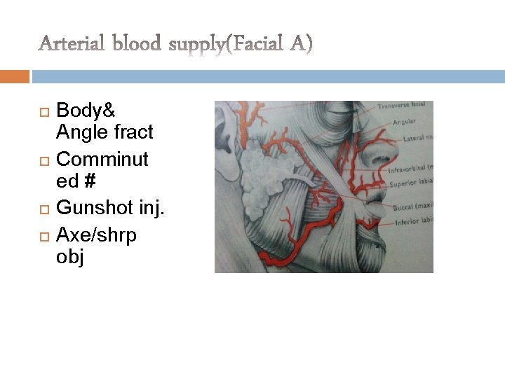  Body& Angle fract Comminut ed # Gunshot inj. Axe/shrp obj 