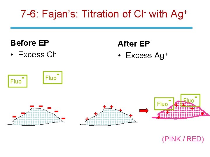 7 -6: Fajan’s: Titration of Cl- with Ag+ Before EP • Excess Cl. Fluo