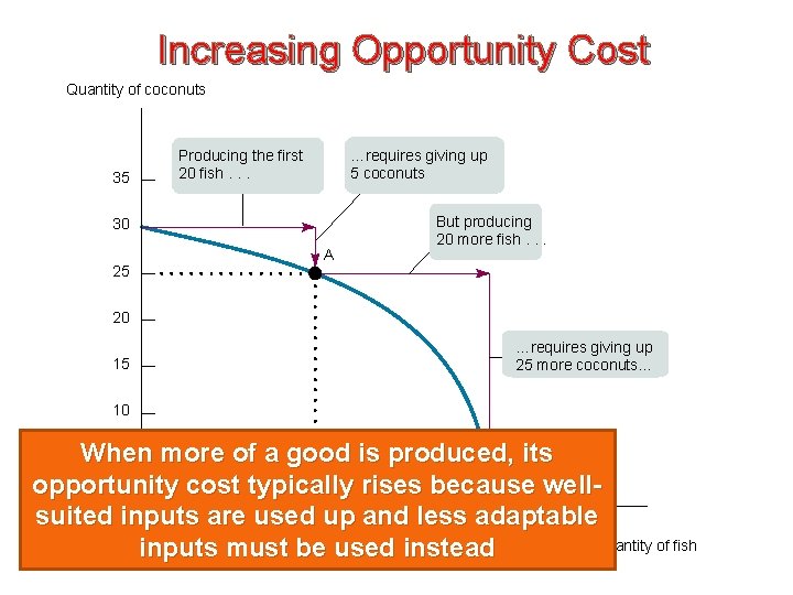 Increasing Opportunity Cost Quantity of coconuts 35 Producing the first 20 fish. . .