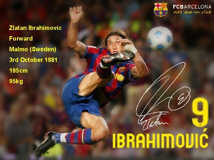Zlatan Ibrahimovic Forward Malmo (Sweden) 3 rd October 1981 195 cm 95 kg 