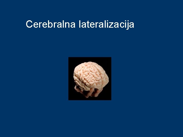 Cerebralna lateralizacija 