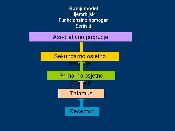 Raniji model Hijerarhijski Funkcionalno homogen Serijski Asocijativno područje Sekundarno osjetno područje Primarno osjetno područje