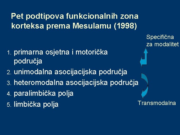 Pet podtipova funkcionalnih zona korteksa prema Mesulamu (1998) Specifična za modalitet primarna osjetna i