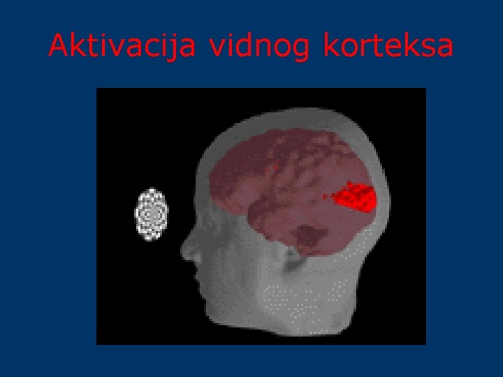 Aktivacija vidnog korteksa 