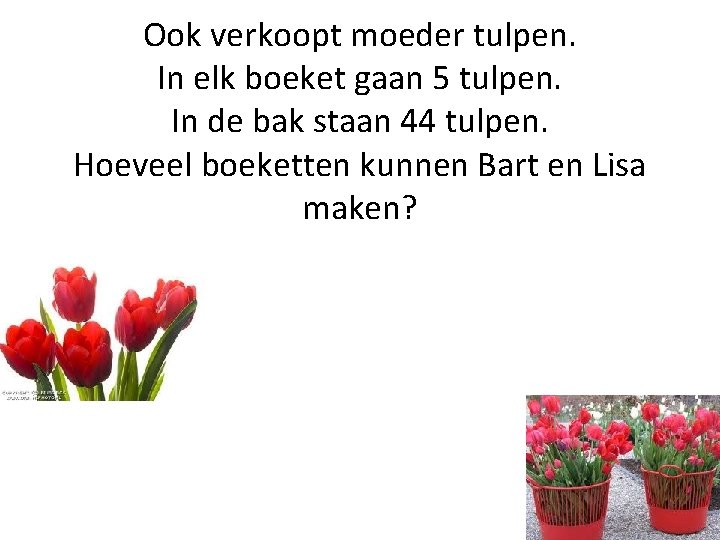 Ook verkoopt moeder tulpen. In elk boeket gaan 5 tulpen. In de bak staan