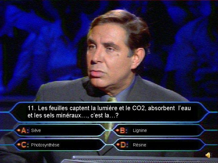 11. Les feuilles captent la lumière et le CO 2, absorbent l’eau et les