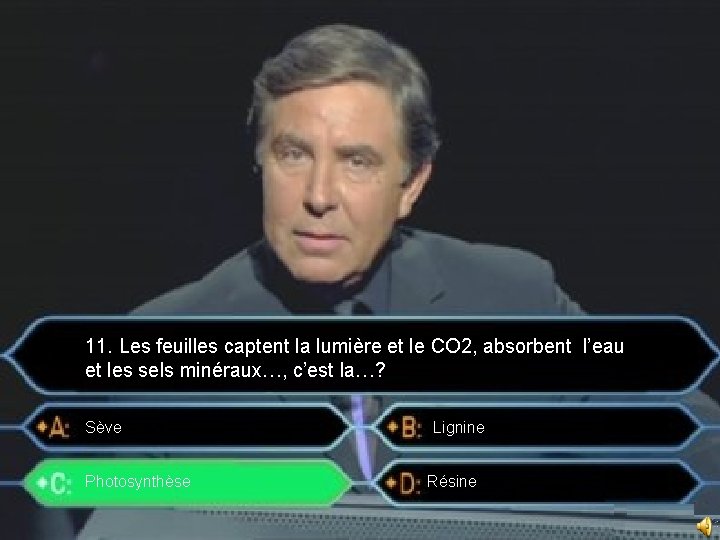 11. Les feuilles captent la lumière et le CO 2, absorbent l’eau et les