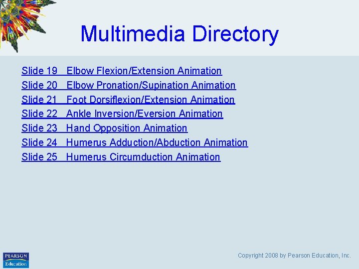 Multimedia Directory Slide 19 Slide 20 Slide 21 Slide 22 Slide 23 Slide 24