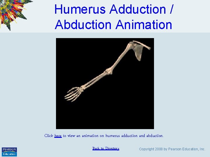 Humerus Adduction / Abduction Animation Click here to view an animation on humerus adduction