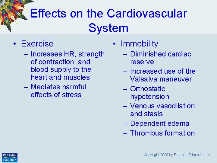 Effects on the Cardiovascular System • Exercise – Increases HR, strength of contraction, and