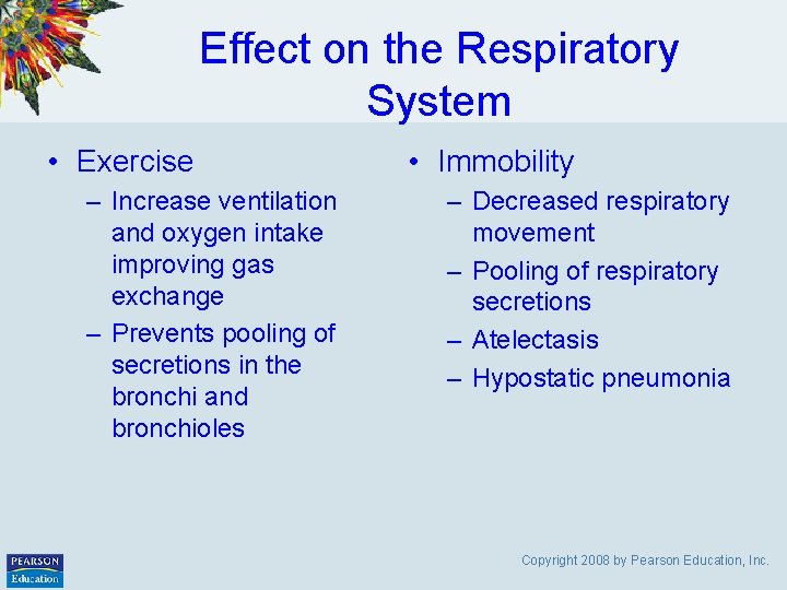 Effect on the Respiratory System • Exercise – Increase ventilation and oxygen intake improving