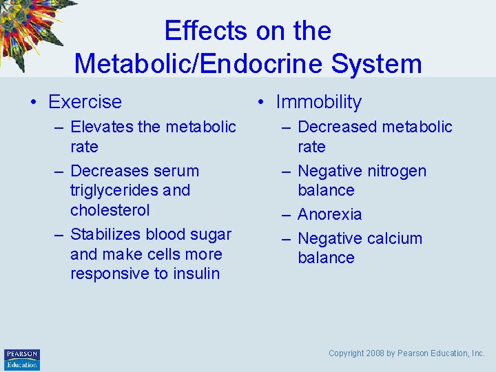 Effects on the Metabolic/Endocrine System • Exercise – Elevates the metabolic rate – Decreases