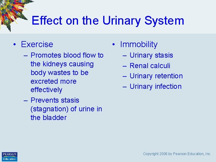 Effect on the Urinary System • Exercise – Promotes blood flow to the kidneys