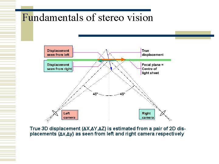 Fundamentals of stereo vision True 3 D displacement (DX, DY, DZ) is estimated from