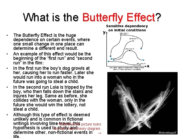 What is the Butterfly Effect? • • • The Butterfly Effect is the huge
