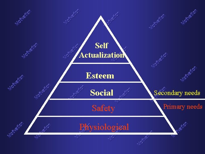 Self Actualization Esteem Social Safety Physiological Secondary needs Primary needs 