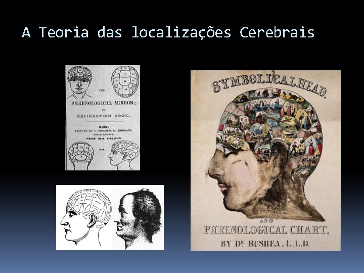 A Teoria das localizações Cerebrais 