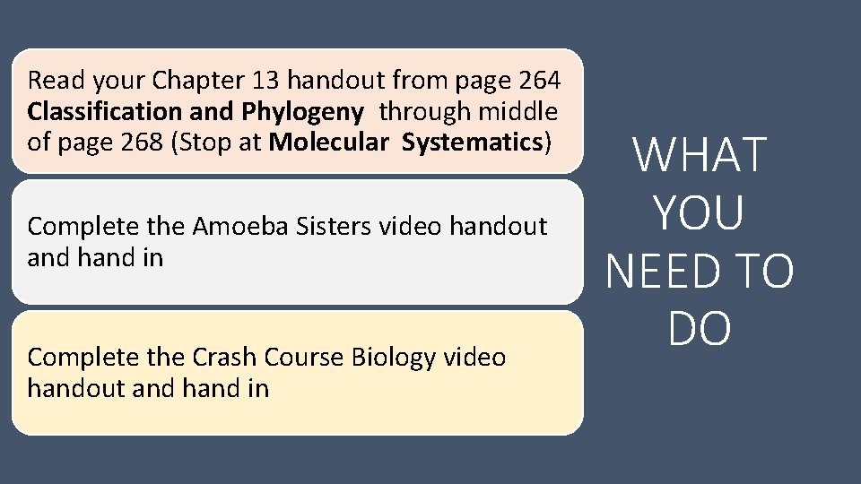Read your Chapter 13 handout from page 264 Classification and Phylogeny through middle of