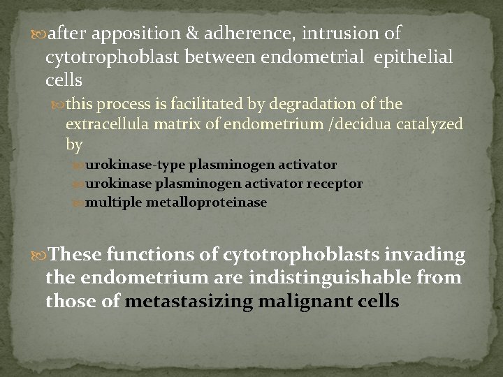  after apposition & adherence, intrusion of cytotrophoblast between endometrial epithelial cells this process