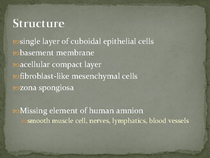 Structure single layer of cuboidal epithelial cells basement membrane acellular compact layer fibroblast-like mesenchymal