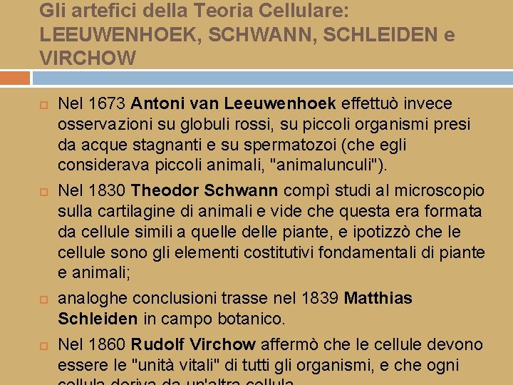 Gli artefici della Teoria Cellulare: LEEUWENHOEK, SCHWANN, SCHLEIDEN e VIRCHOW Nel 1673 Antoni van